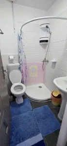 Casă 7 camere Valea Doftanei - poza 21