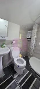 Casă 7 camere Valea Doftanei - poza 22