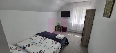 Casă 7 camere Valea Doftanei - poza 4