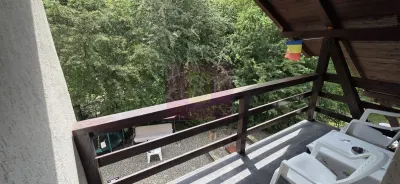 Casă 7 camere Valea Doftanei - poza 32