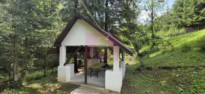 Casă 7 camere Valea Doftanei - poza 44