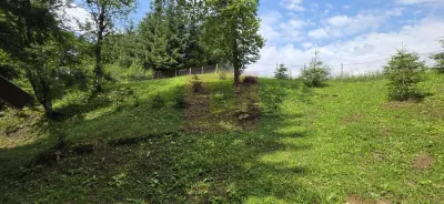 Casă 7 camere Valea Doftanei - poza 45