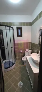 Casă 5 camere Sinaia - poza 20