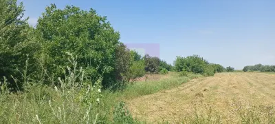 Teren Sabareni - poza 3
