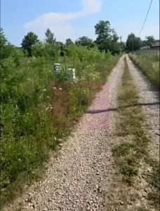 Casă 3 camere Brebu - poza 9