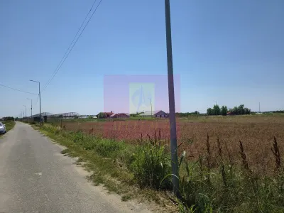 Teren Copaceni - poza 11