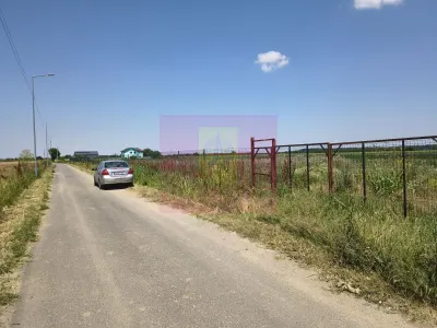 Teren Copaceni - poza 18
