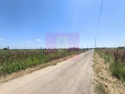 Teren Copaceni - poza 26