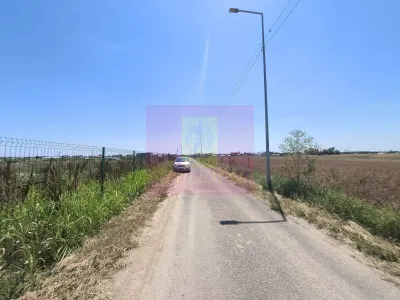 Teren Copaceni - poza 4