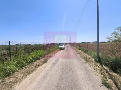 Teren Copaceni - poza 6
