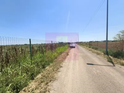 Teren Copaceni - poza 10