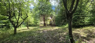 Teren Sinaia - poza 2