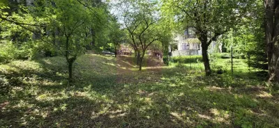 Teren Sinaia - poza 3