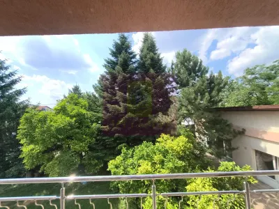 Casă 7 camere Voluntari - poza 49