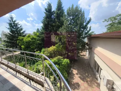 Casă 7 camere Voluntari - poza 6
