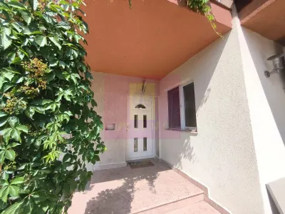Casă 7 camere Voluntari - poza 7
