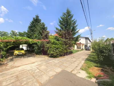 Casă 7 camere Voluntari - poza 80