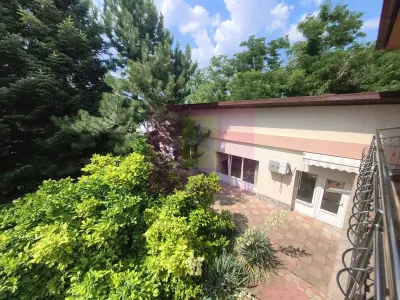 Casă 7 camere Voluntari - poza 90