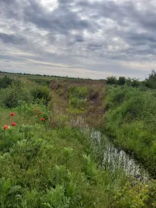 Teren Corbeanca - poza 3