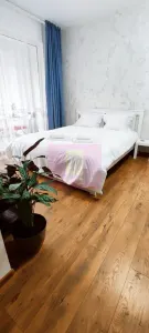 Studio de vanzare in Sinaia, investitie in turism - Sinaia