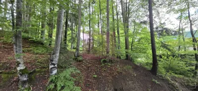 Teren Sinaia - poza 2