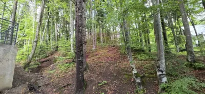 Teren Sinaia - poza 3
