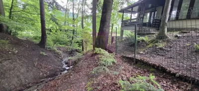 Teren Sinaia - poza 6