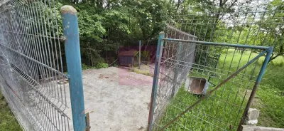 Vila de vanzare cu 6 camere si teren de 5116 mp in Cornu, Prahova - foto 30