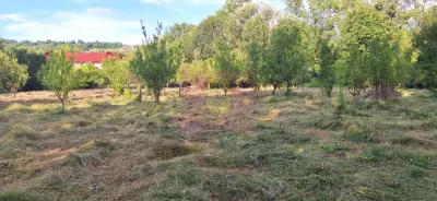 Vila de vanzare cu 6 camere si teren de 5116 mp in Cornu, Prahova - foto 34