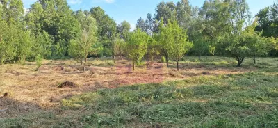 Vila de vanzare cu 6 camere si teren de 5116 mp in Cornu, Prahova - foto 35