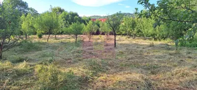 Vila de vanzare cu 6 camere si teren de 5116 mp in Cornu, Prahova - foto 48