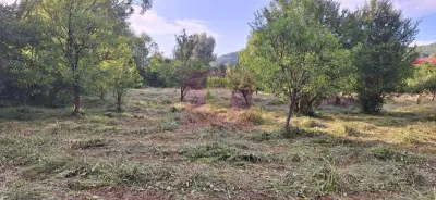 Vila de vanzare cu 6 camere si teren de 5116 mp in Cornu, Prahova - foto 49