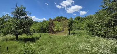 Casă 5 camere Breaza - poza 54