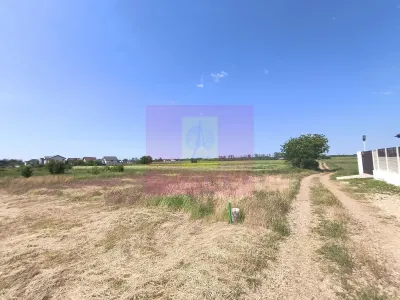 Teren 1 Decembrie - poza 11
