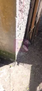 Casă 4 camere Ploiești - poza 27