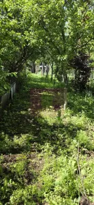 Casă 5 camere Câmpina - poza 31