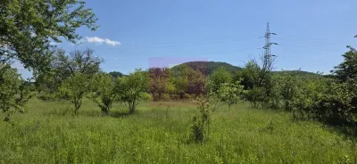 Casă 5 camere Câmpina - poza 33