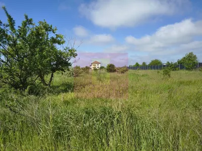 Teren 1 Decembrie - poza 16