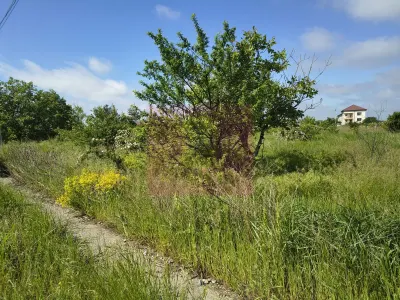 Teren 1 Decembrie - poza 19