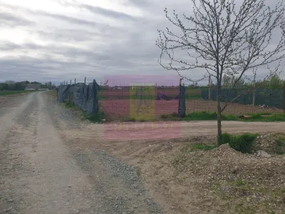 Teren Măgurele - poza 18