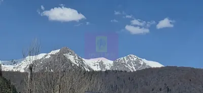 Casă 6 camere Bușteni - poza 33