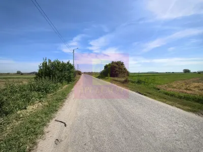 Teren Darasti-Ilfov - poza 2