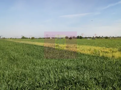 Teren Darasti-Ilfov - poza 21