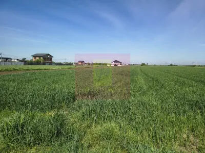 Teren Darasti-Ilfov - poza 25