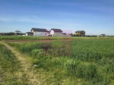 Teren Darasti-Ilfov - poza 26