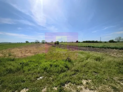 Teren Darasti-Ilfov - poza 4