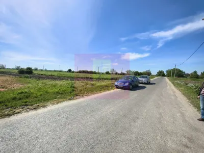 Teren Darasti-Ilfov - poza 10