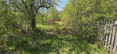Teren Sotrile - poza 18