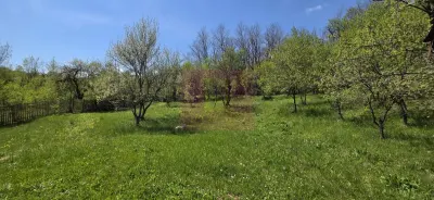 Teren Sotrile - poza 4