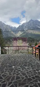 Casă 5 camere Bușteni - poza 8